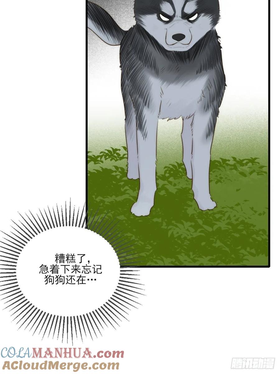 第55页