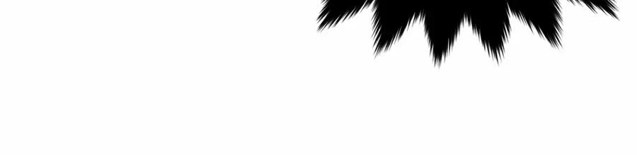 第223页