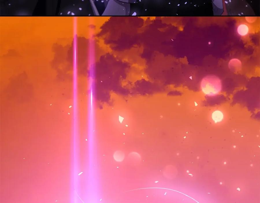 第260页