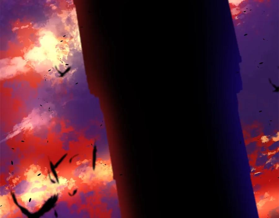 第210页