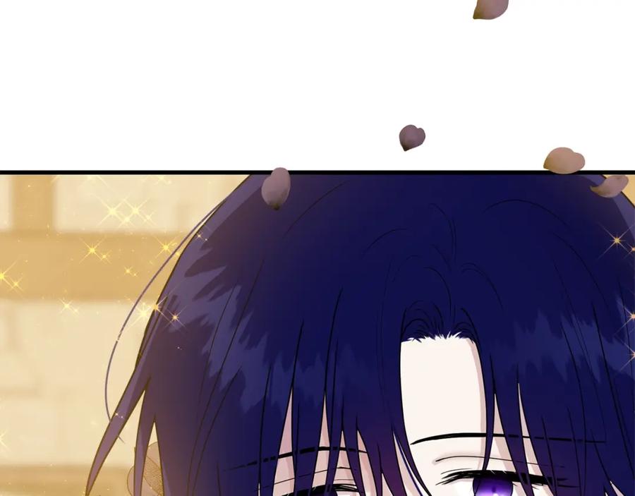 第223页
