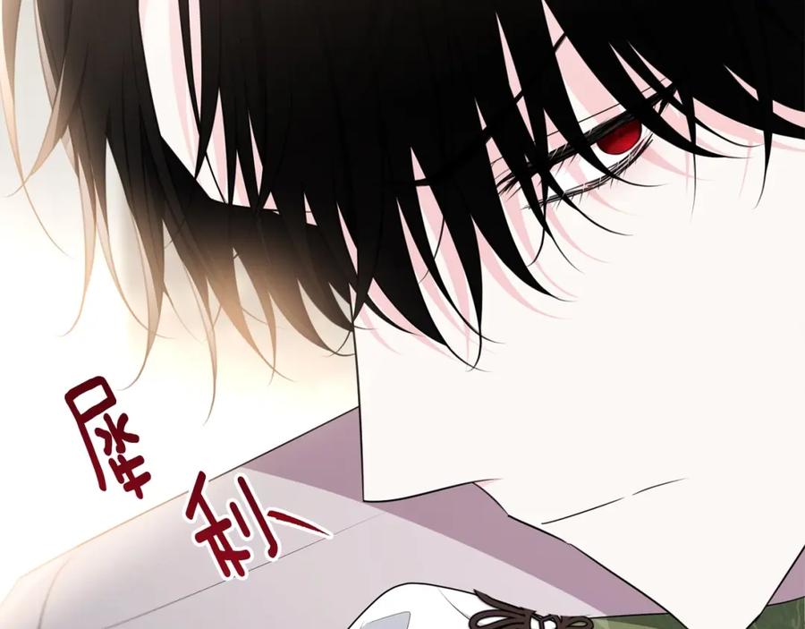 第220页
