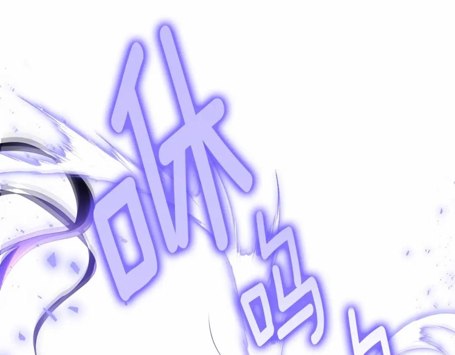 第223页