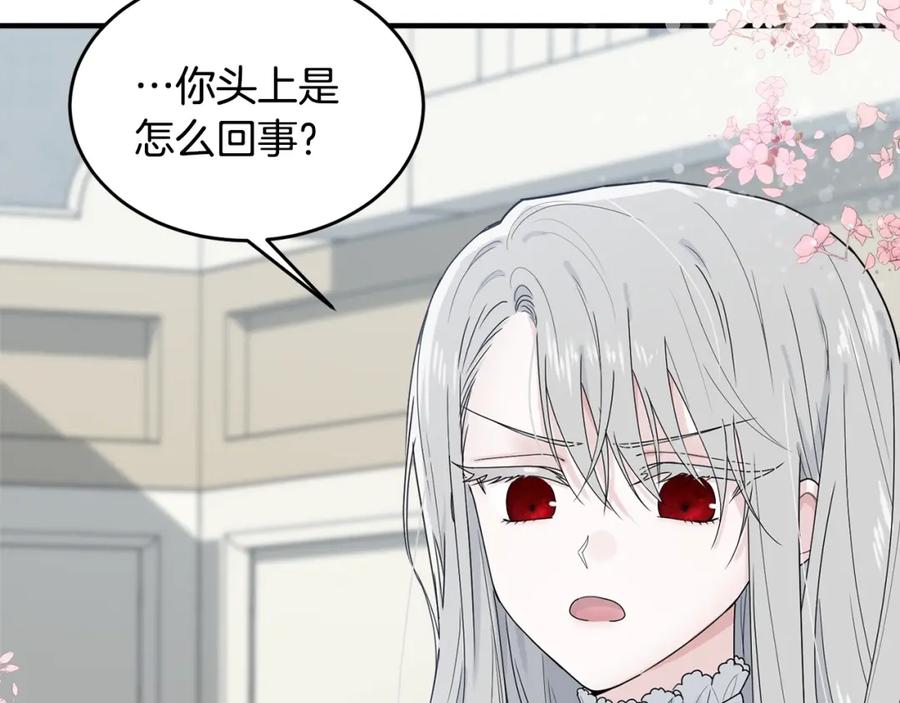 第206页