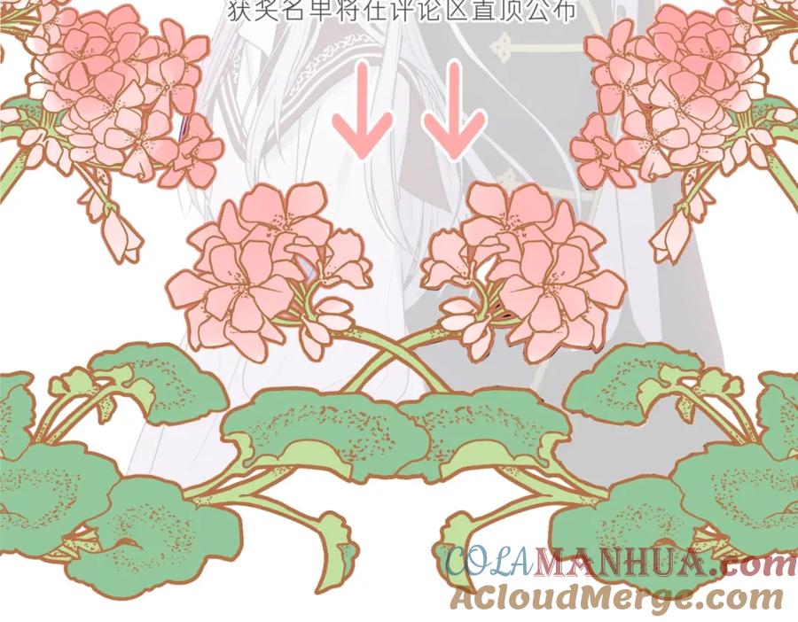 第221页