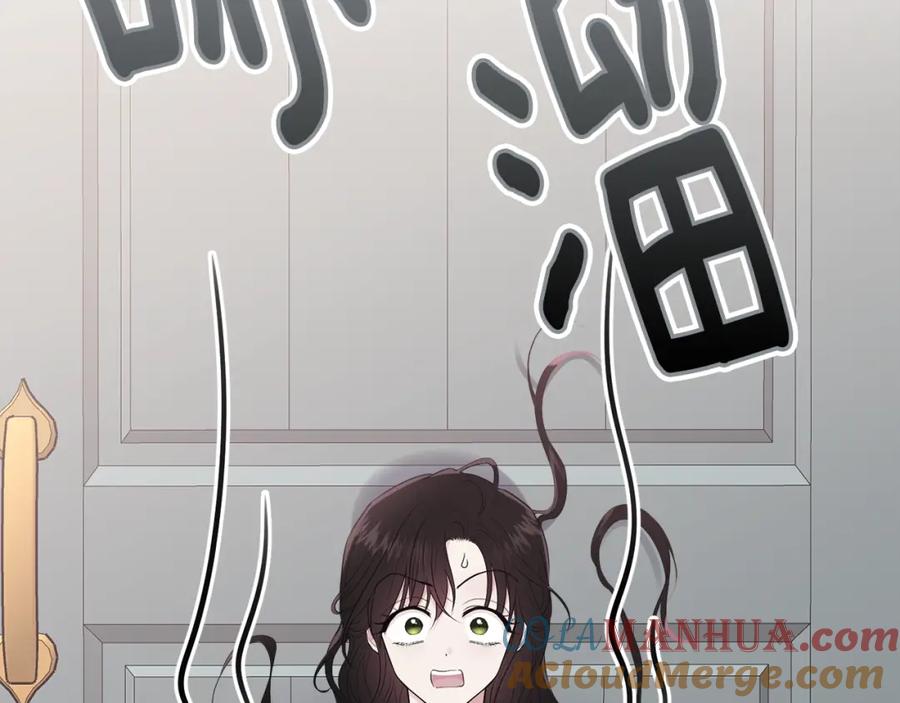 第217页