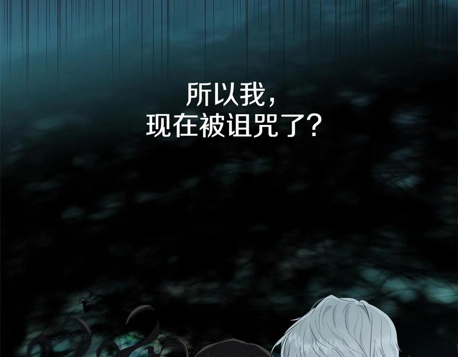 第215页