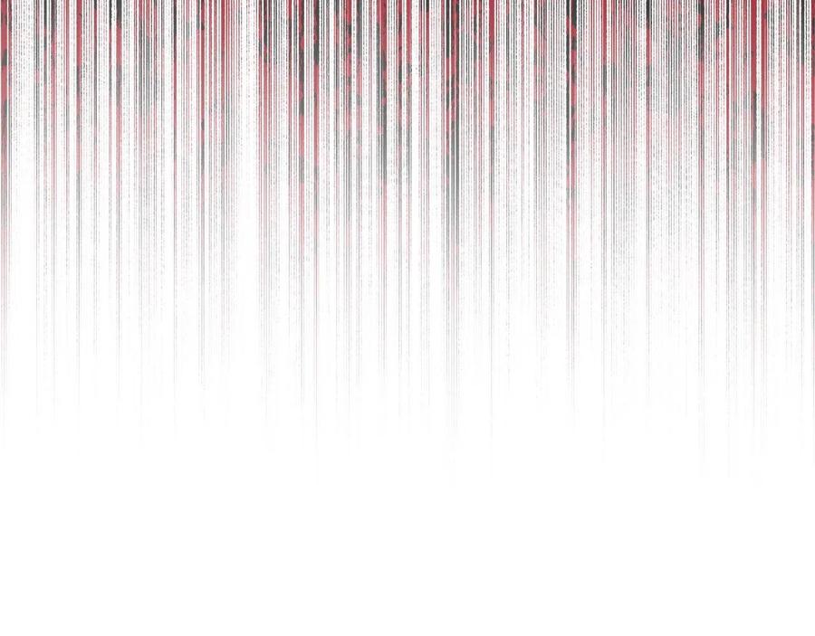 第204页