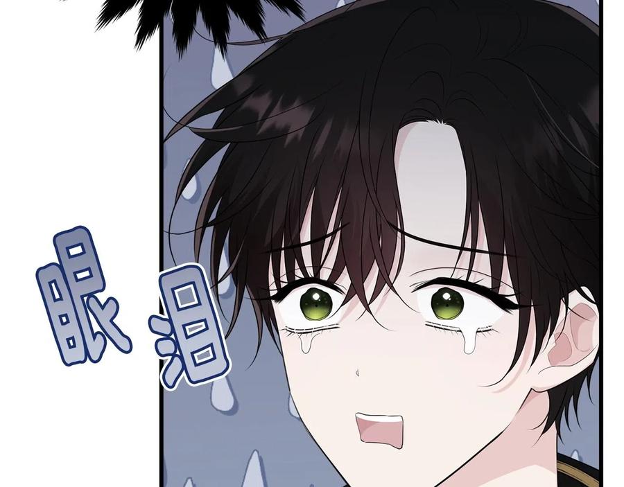 第194页