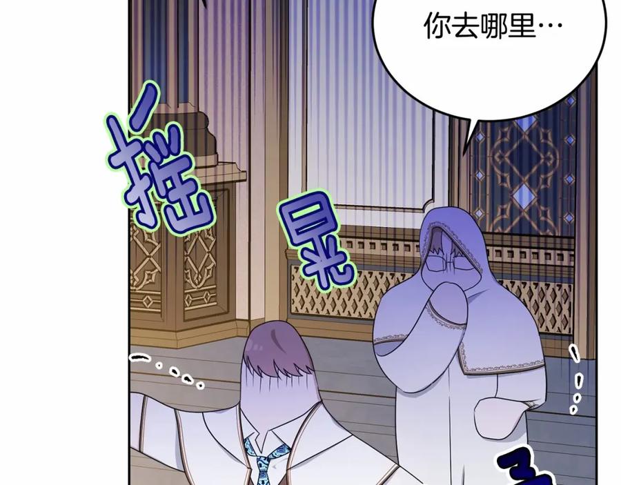 第204页