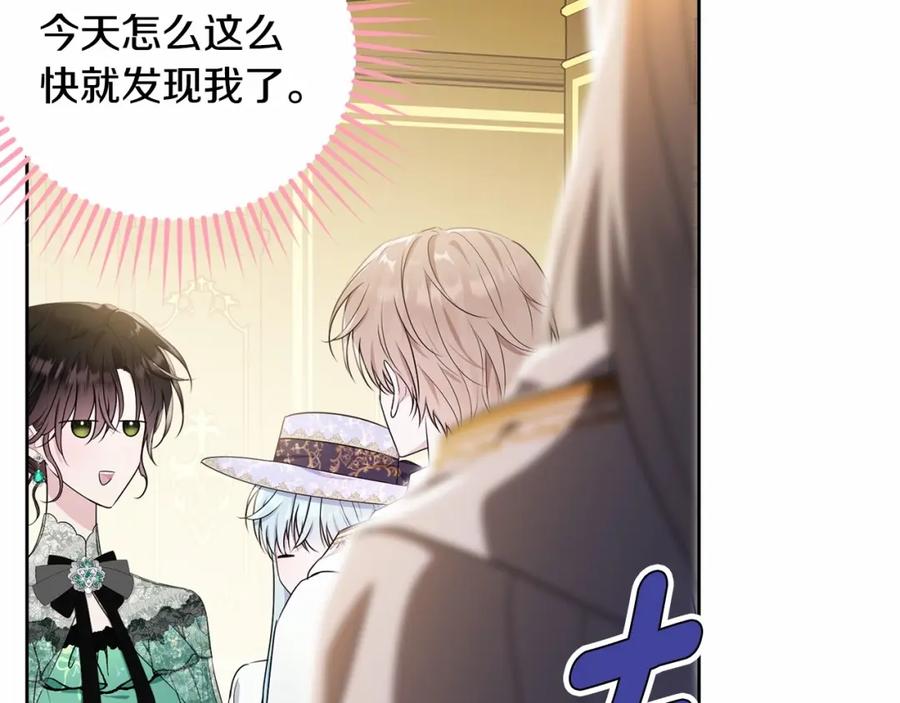 第223页