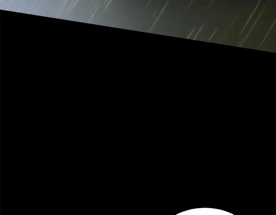 第223页