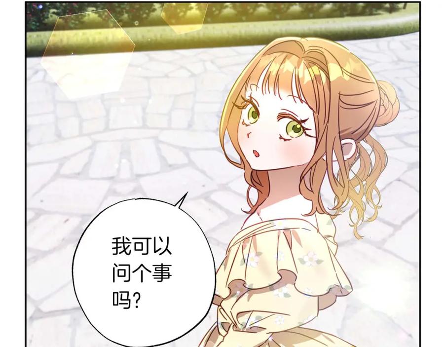 第223页