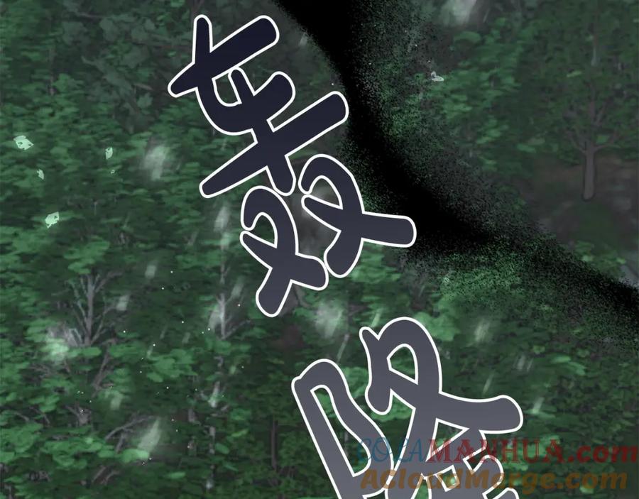 第197页