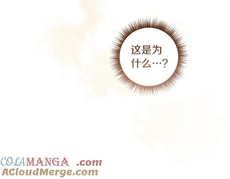 第241页