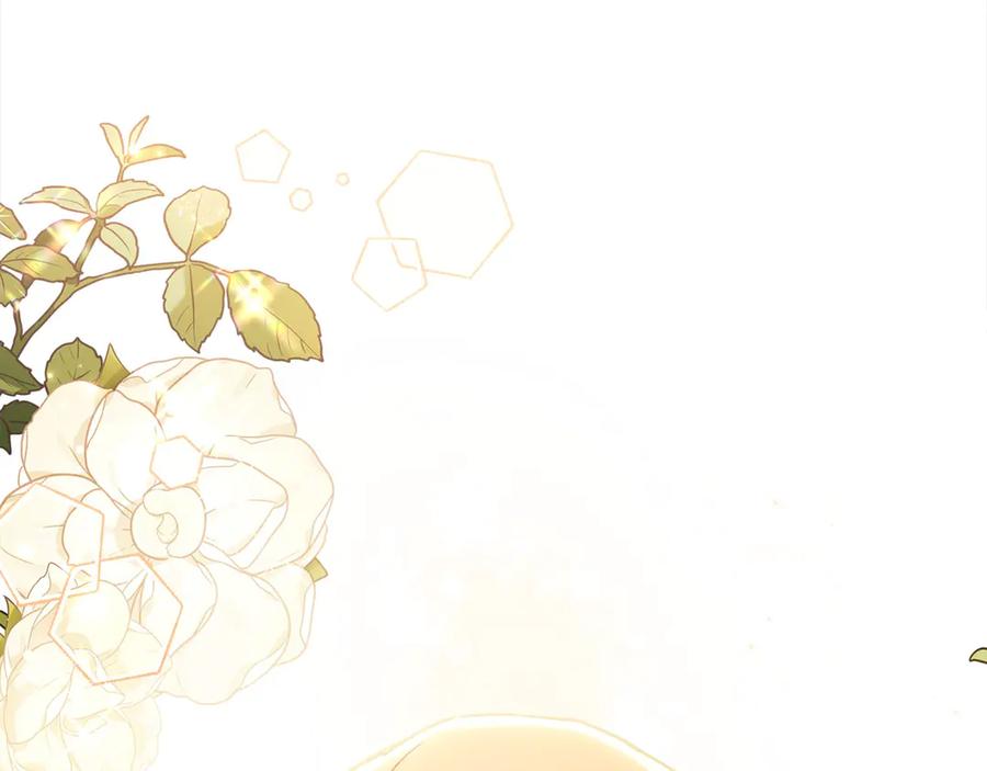 第238页