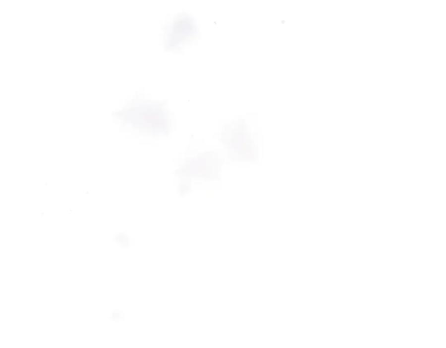 第204页