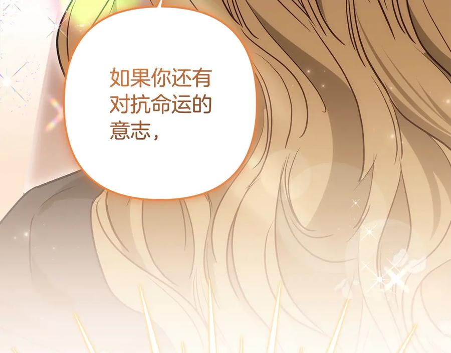 第211页