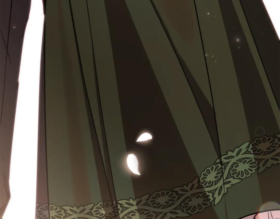 第223页