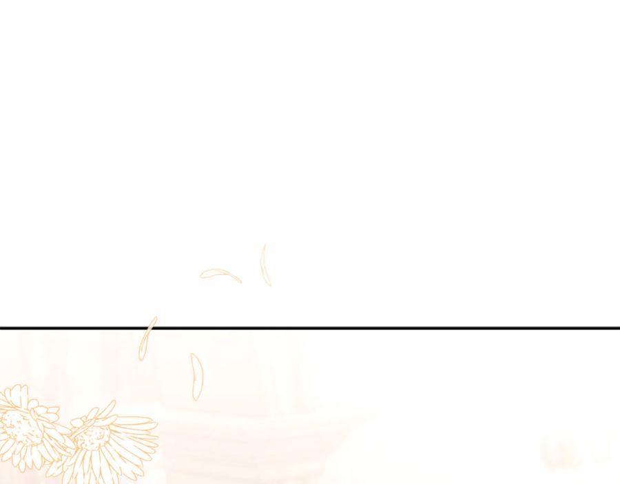 第244页
