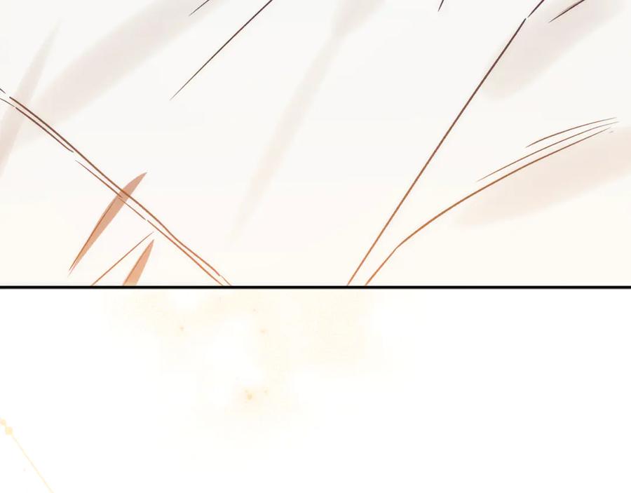 第251页