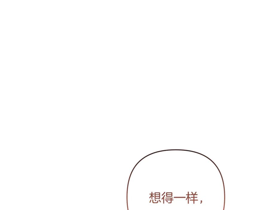 第223页