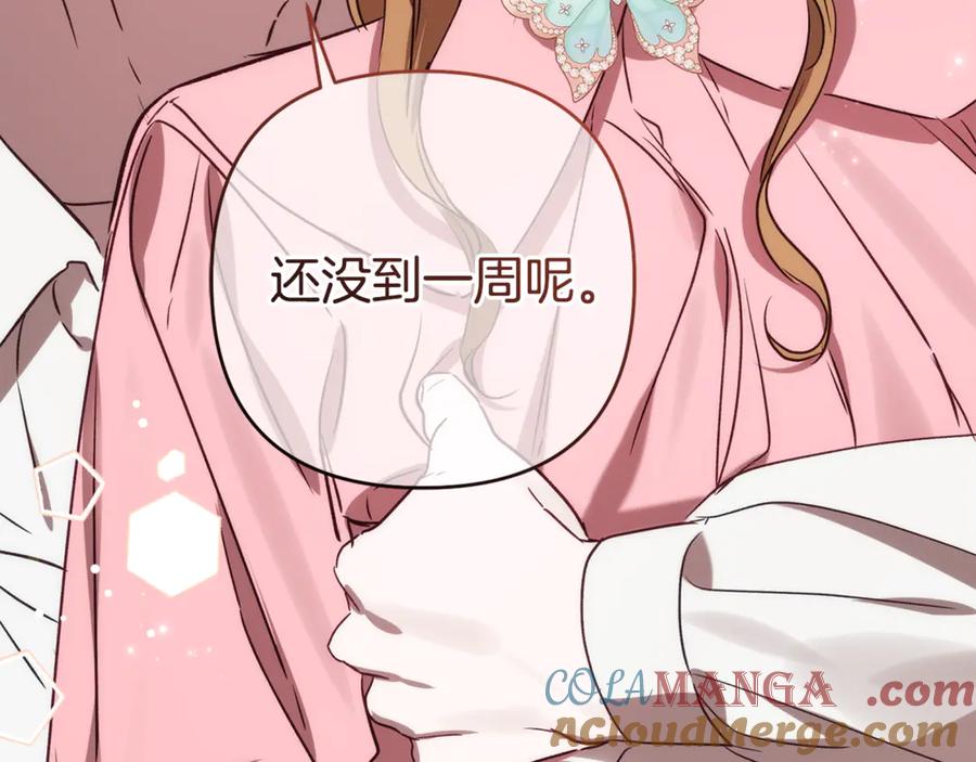 第237页