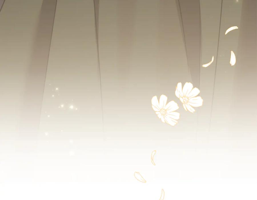 第256页