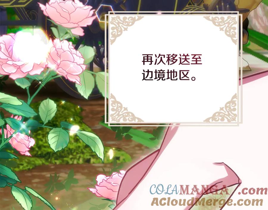 第236页