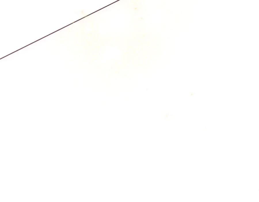 第239页