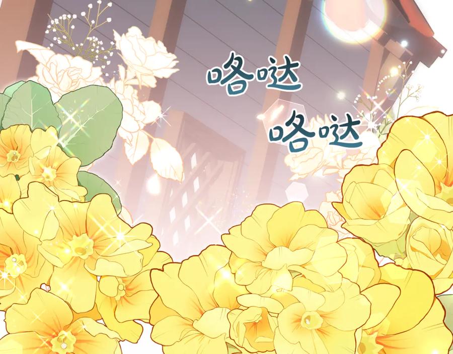 第242页