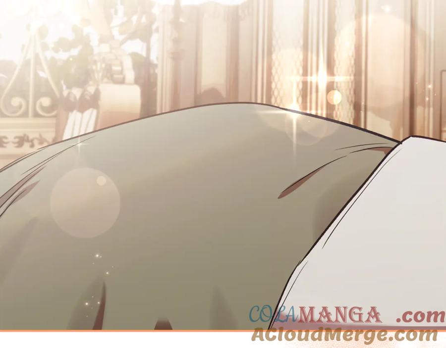 第241页
