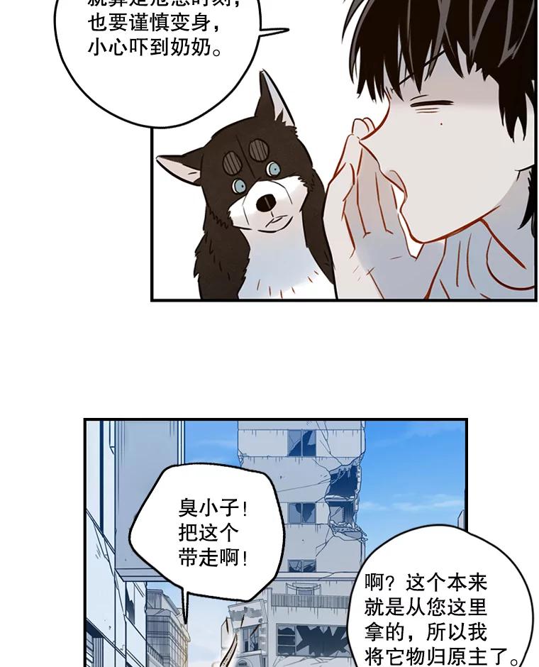 第68页