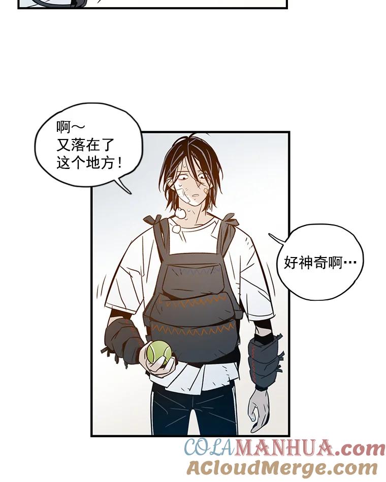 第43页