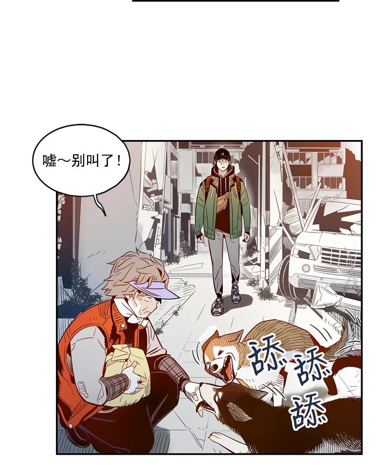第91页
