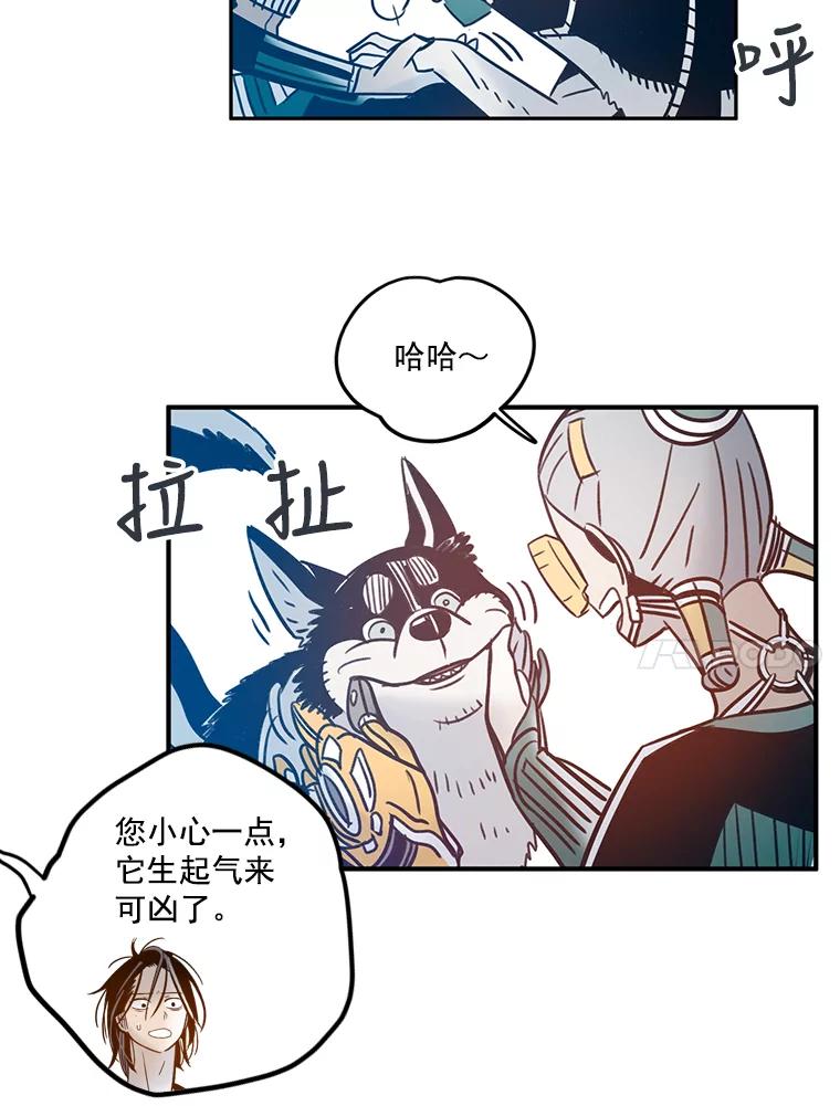 第71页