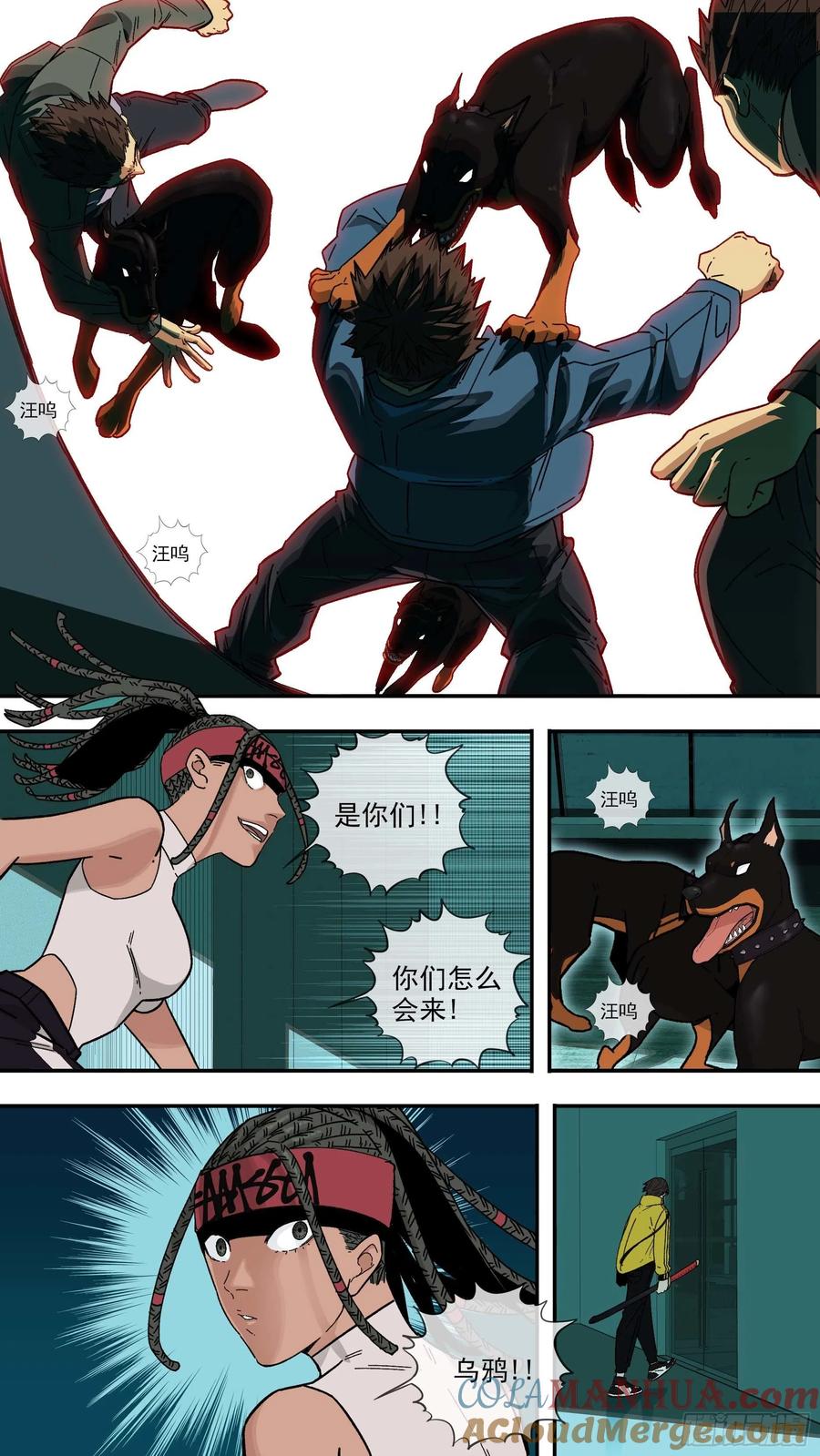 第5页