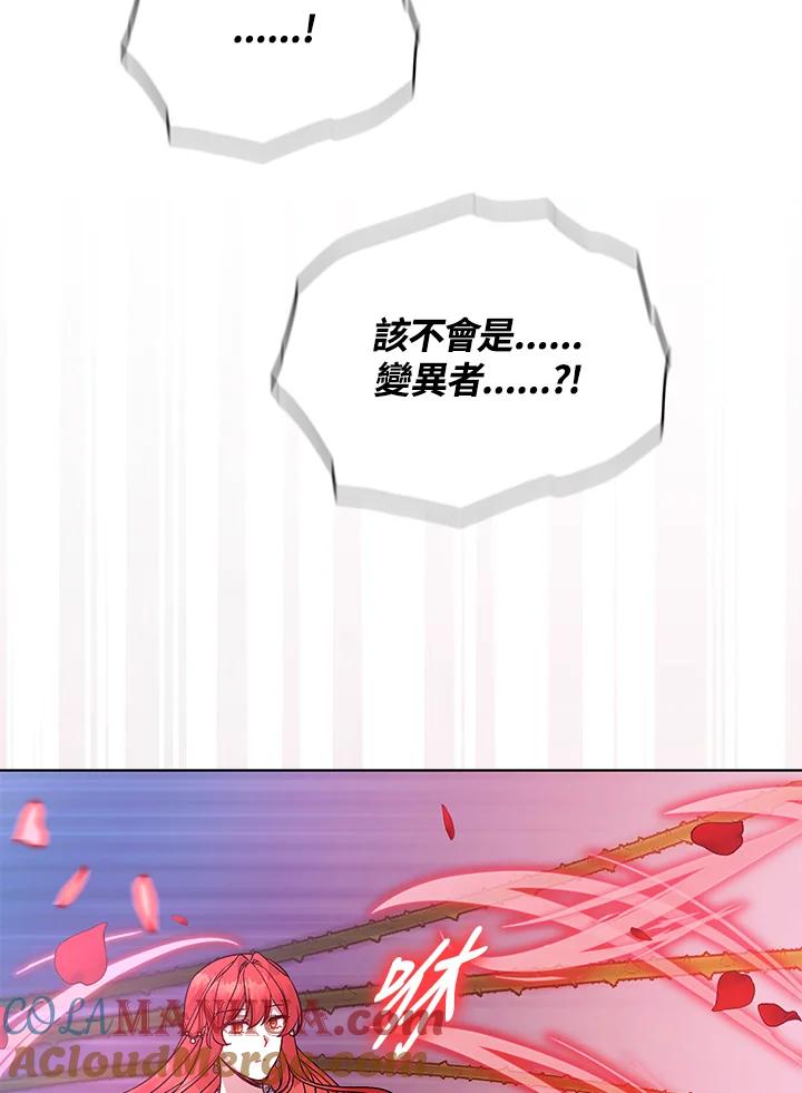 第242页
