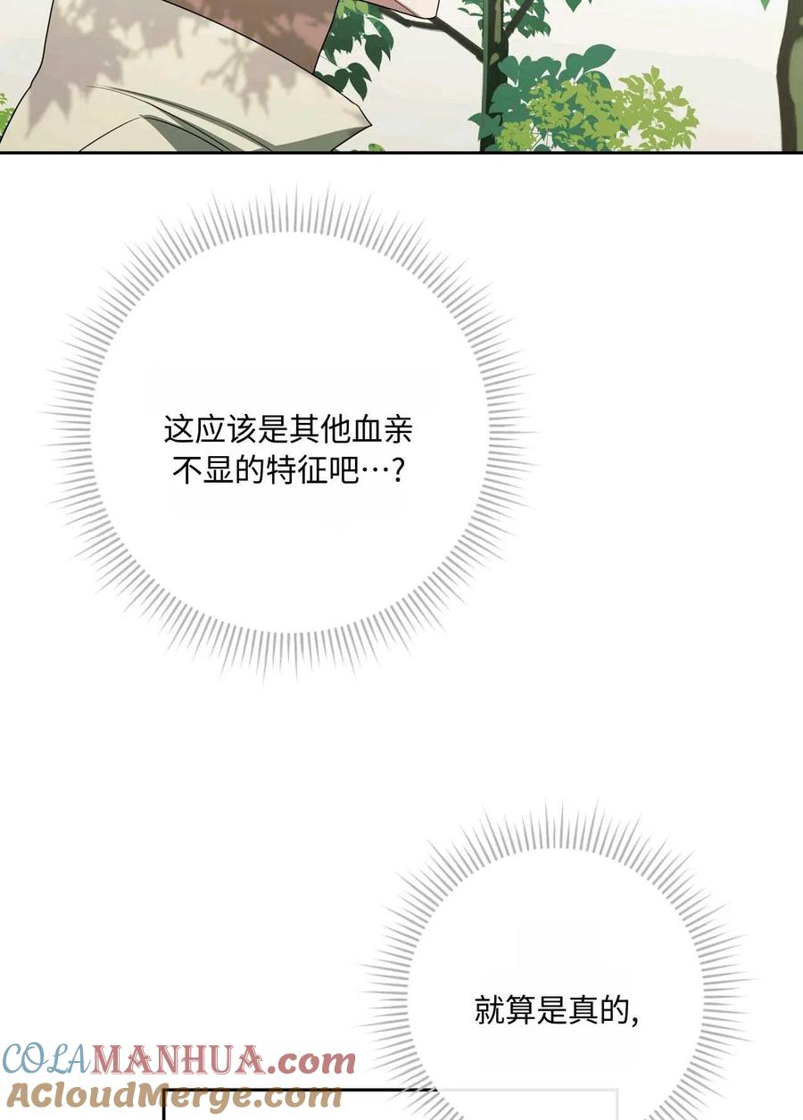 第242页