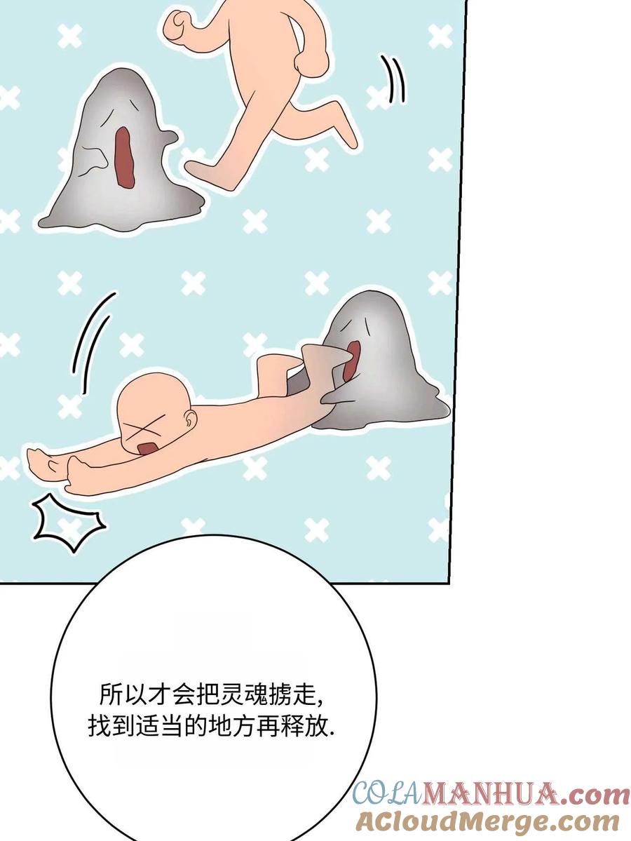 第219页