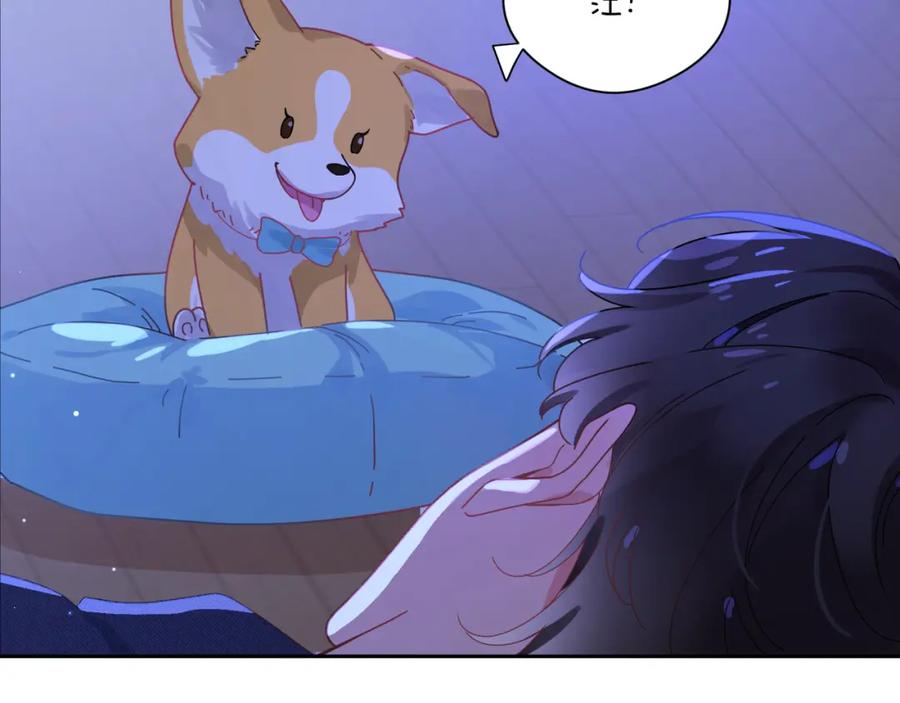 第80页