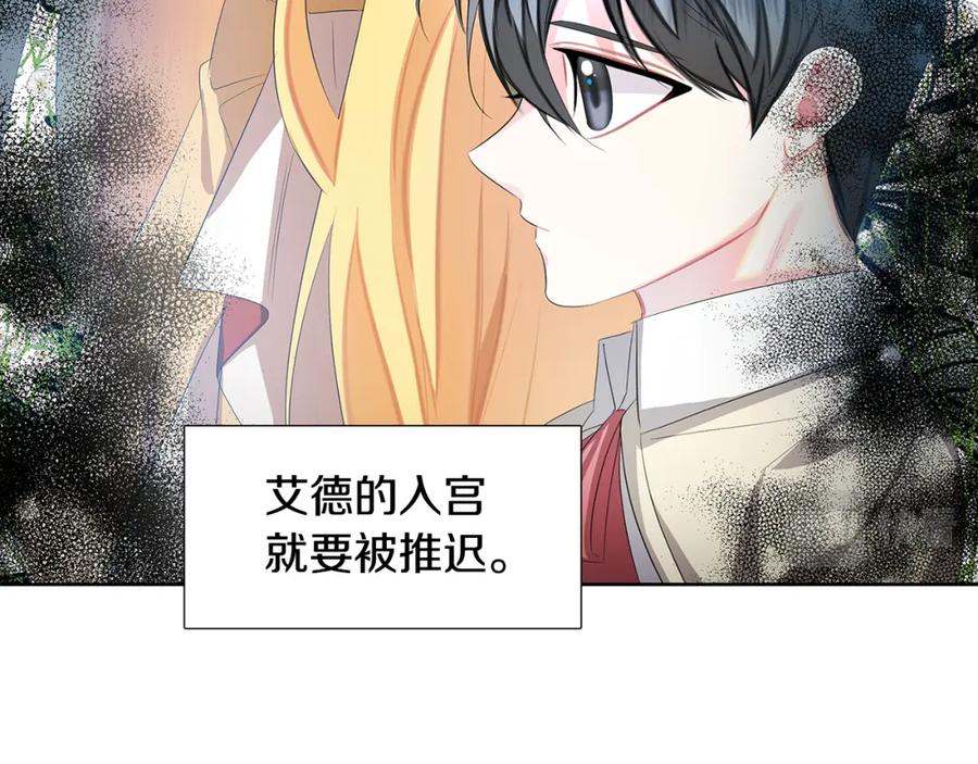 第223页