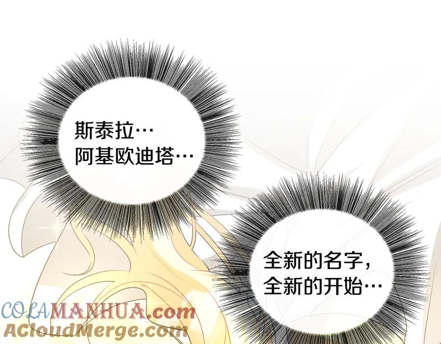 第205页