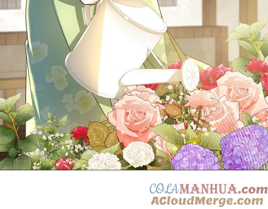 第221页