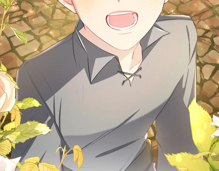 第231页