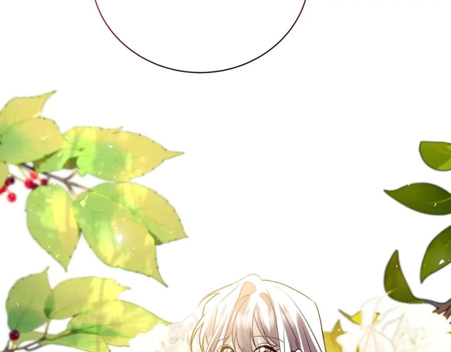 第223页