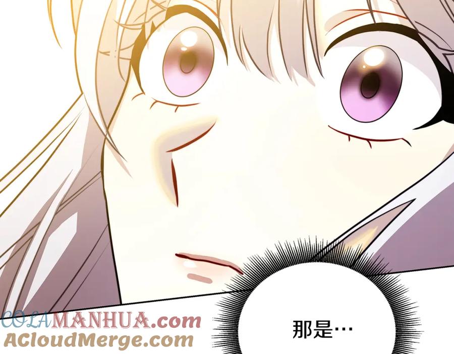第229页
