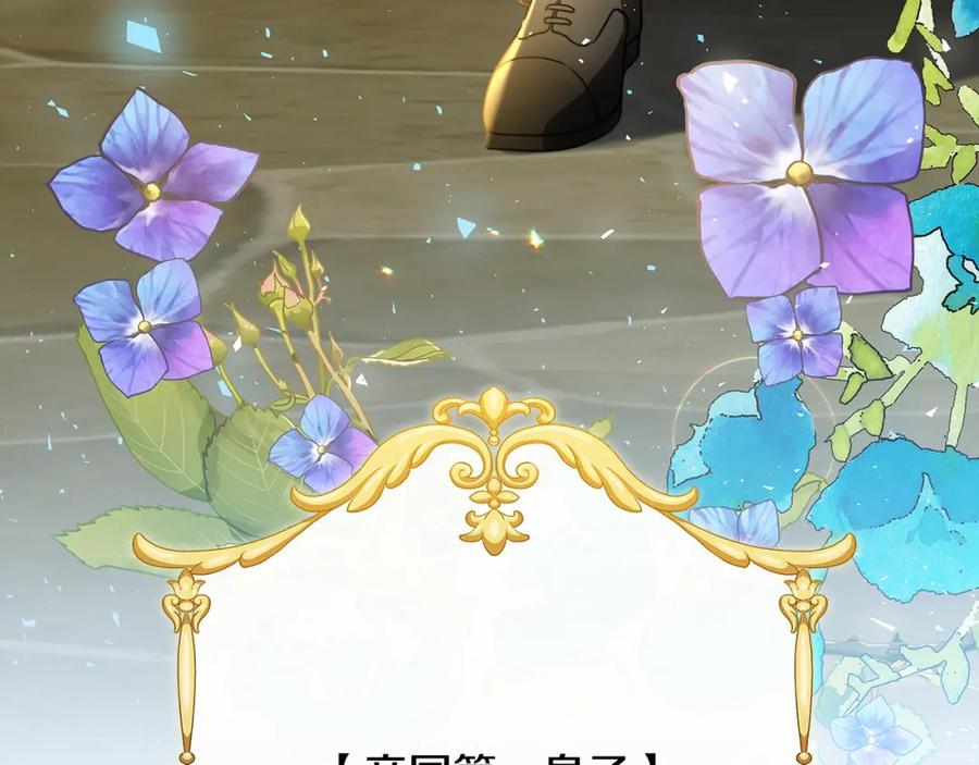 第243页