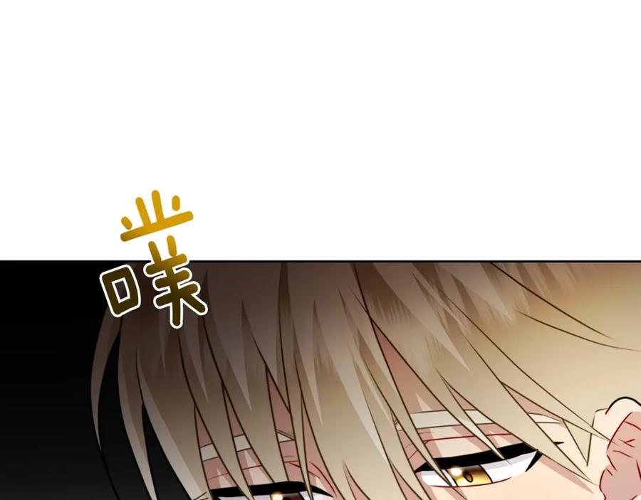 第228页