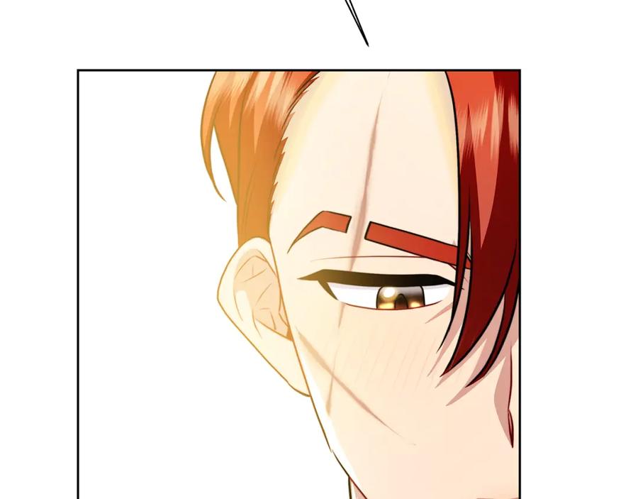 第246页